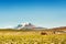 Volcano on plateau Altiplano, Bolivia