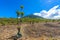 Volcano Scenery Landscape around lake Atitlan in the Highlands of Guatemala