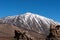 Volcano Teide, Tenerife, Canary islands, Spain.