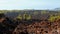 Volcano tenerife national park teide panoramic landscape.