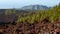 Volcano tenerife national park teide panoramic landscape.