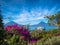 Volcano View with Boat, flowers and sky