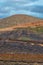 Volcano vineyards growing grapes in Lanzarote, Canary Islands