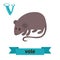 Vole. V letter. Cute children animal alphabet in vector. Funny c