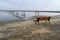 Volgograd bridge across the Volga River, one of the largest transport infrastructure facilities of Russian significance. The