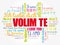 Volim te ( I Love You in Croatian) word cloud