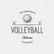 Volleyball badges logos and labels for any use