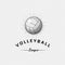 Volleyball badges logos and labels for any use