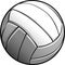 Volleyball Ball Image Icon