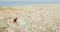 Volleyball ball jumps near empty glass with straws on beach