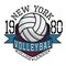 Volleyball College League New YorkT-shirt