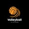 Volleyball Logo, Sport Simple Design, World Sports Tournament Vector, Illustration Symbol Icon