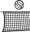 Volleyball with Net