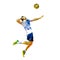 Volleyball player serving ball, abstract polygonal illustration