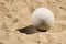 Volleyball sitting in sand