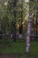 Vologda. Warm spring evening. VKremlin Park; former Bishop`s garden. Sunset scene