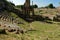 Volterra-Amphitheatre