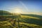 Volterra landscape  tree lined road  rolling hills and fog at sunrise. Tuscany  Italy