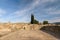 Volubilis mosaic, Morocco