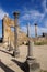 Volubilis - Roman basilica ruins in Morocco