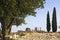 The Volubilis ruins in Morocco