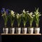 Volumetric Lighting: Stunning Row Of Iris Plants In Pots