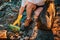 Volunteer activist puts a plastic bottle in a garbage bag. Close-up. Top view. The concept of environmental conservation