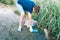 Volunteer boy in blue t shirt picks up dirty plastic bottles in park. Hands in yellow gloves collect garbage, pick up trash in bag