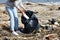 Volunteer cleaning a beach collecting plastic bottles