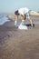 Volunteer collecting plastics that pollute the sea