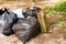 Volunteer Garbage litter in park or forest