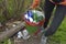 A volunteer girl picks up glass bottles in a plastic bucket, clearing the woods of litter. Environmental pollution.