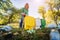 Volunteer girl sorts garbage in the street of the park. Concept of recycling. Zero waste concept. Nature