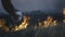 A volunteer man or boy extinguishes a wild fire. Pours water from a plastic bottle. Rain forest wildfire disaster, dry