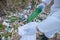 Volunteer man in white protective clothing collects garbage