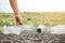 The volunteer picking up a bottle plastic in to a bin bag for cleaning, volunteering concept.