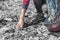 The volunteer is removed in the forest after a season of picnics and barbecues. Woman collects plastic forks on the old fire pit.