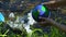 Volunteer taking Earth globe with radiation sign from polluted lake, eco problem