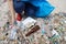 Volunteer tourist with hat is cleaning up garbage and plastic debris on dirty beach by collecting them into big blue bag