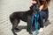Volunteer walking and caressing stray black dog in shelter, adoption concept
