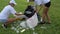 Volunteers cleaning garbage in the park. People picking up a bottle plastic on grass