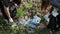 Volunteers cleaning up a forest. Volunteers picking plastic waste to bags. Concept of plastic pollution and too many plastic waste