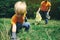 Volunteers picking up litter in the park. Father and his toddler son cleaning up forest. Little boy collects plastic garbage on