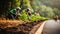 Volunteers planting young trees along bustling city road