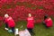 Volunteers working with poppies near Tower of London
