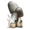 Volvariella volvacea or paddy straw mushroom closeup digital art illustration. Boletus has pink spore print and grey cap