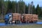 Volvo FH16 Transports Pine Timber on Motorway