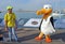 Volvo Ocean Race 2014 - 2015 Mascot