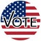 Vote usa election icon