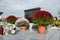 Votive candles lantern and chrysanthemum flowers on tomb stones in graveyard. Graves, tombstones on traditional cemetery